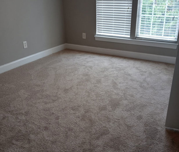 Floor cleaning services in Charlotte, NC